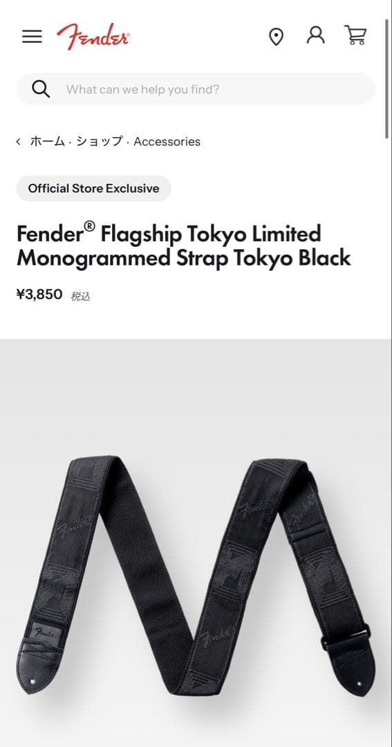 fender american professional ii テレキャス