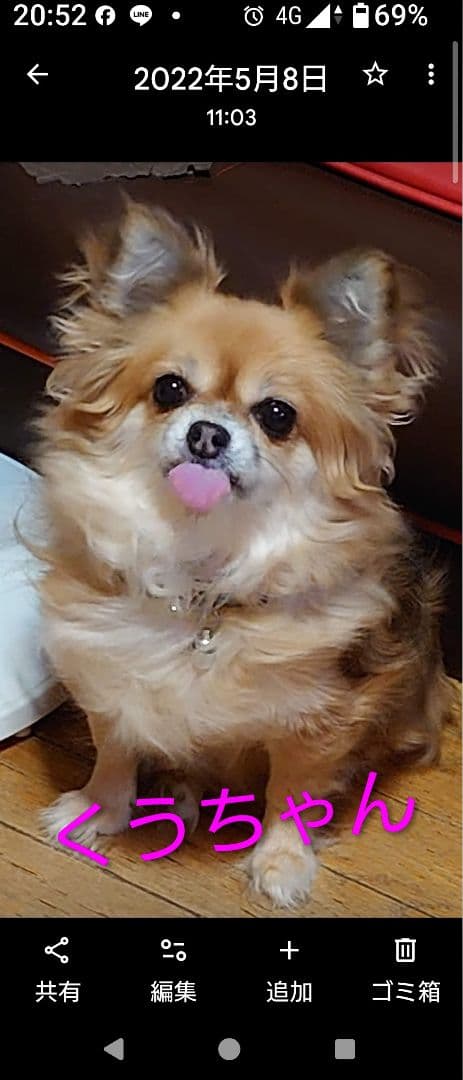 そらちゃんとくうちゃんの写真