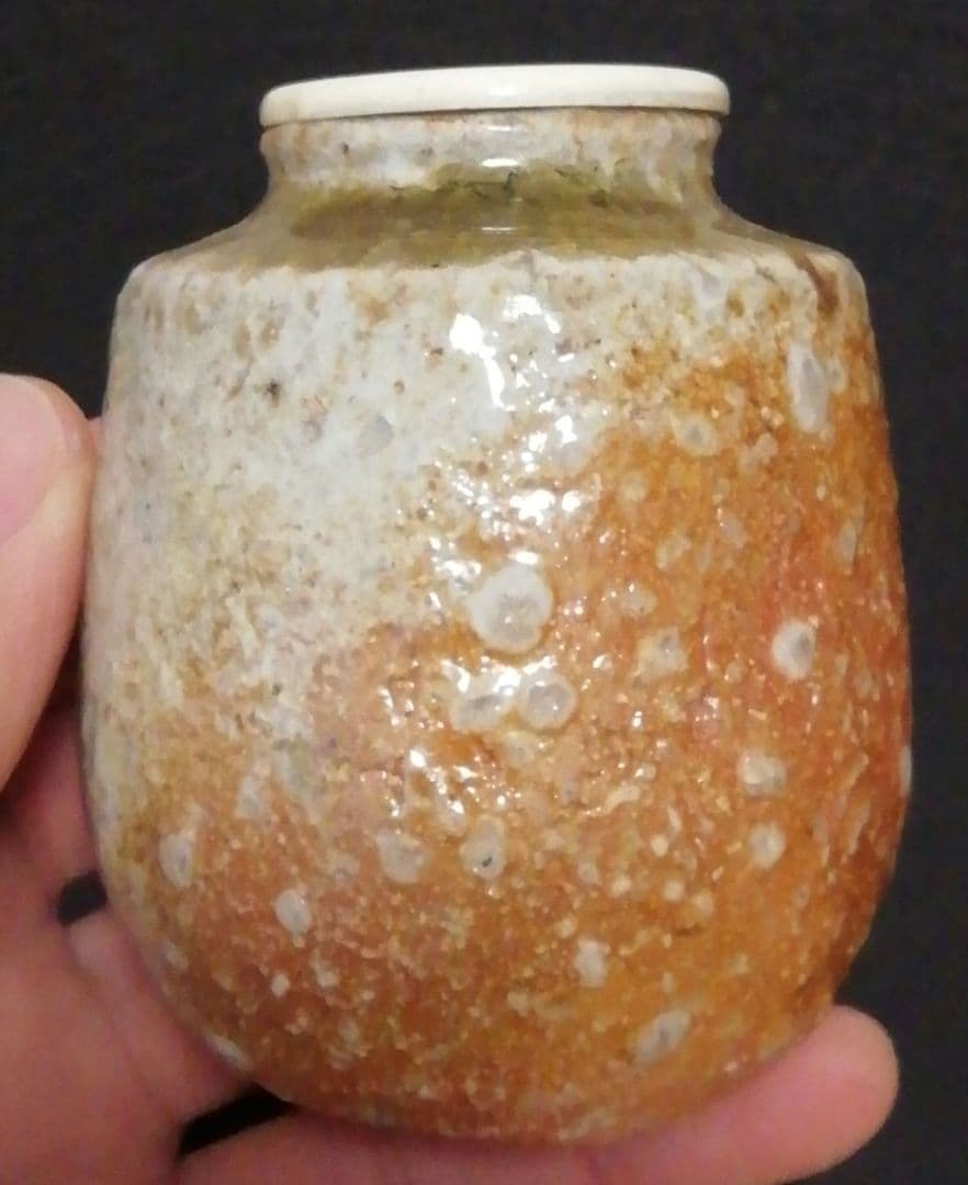 谷清右衛門作　信楽焼　茶入　共箱　仕服付　茶道具