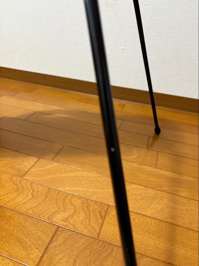 デサント　DESCENTE セルフスタンドバッグ 　サブバック　セルフバック