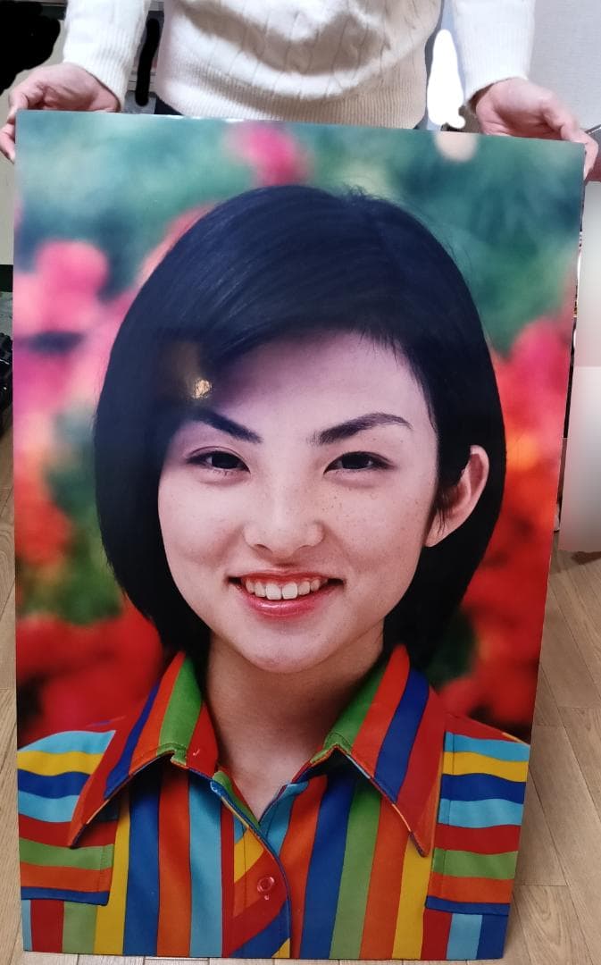 田中麗奈　フジカラー店頭パネル　56cm×90cm×0.8cm