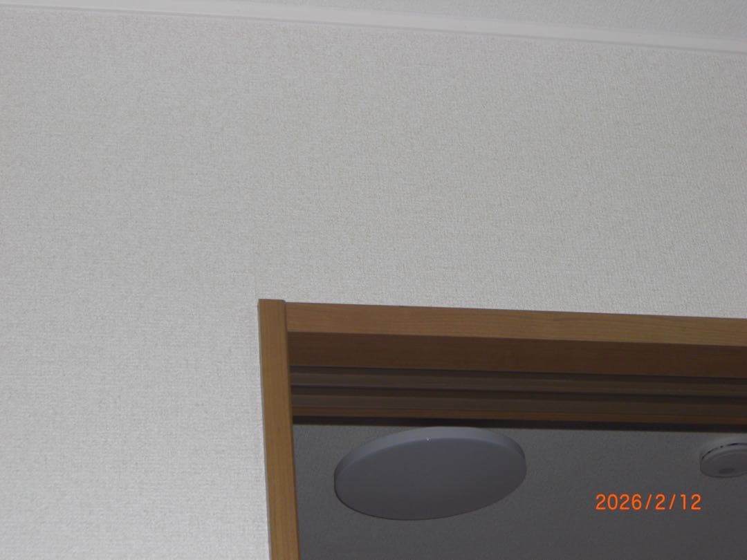 【オールドコンデジ】 CASIO EXILIM EX-S880