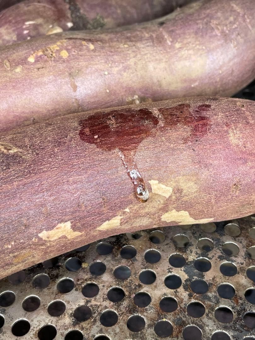 焼き芋機　蜜芋　熟成蜜芋　調理用機器 温度計付き