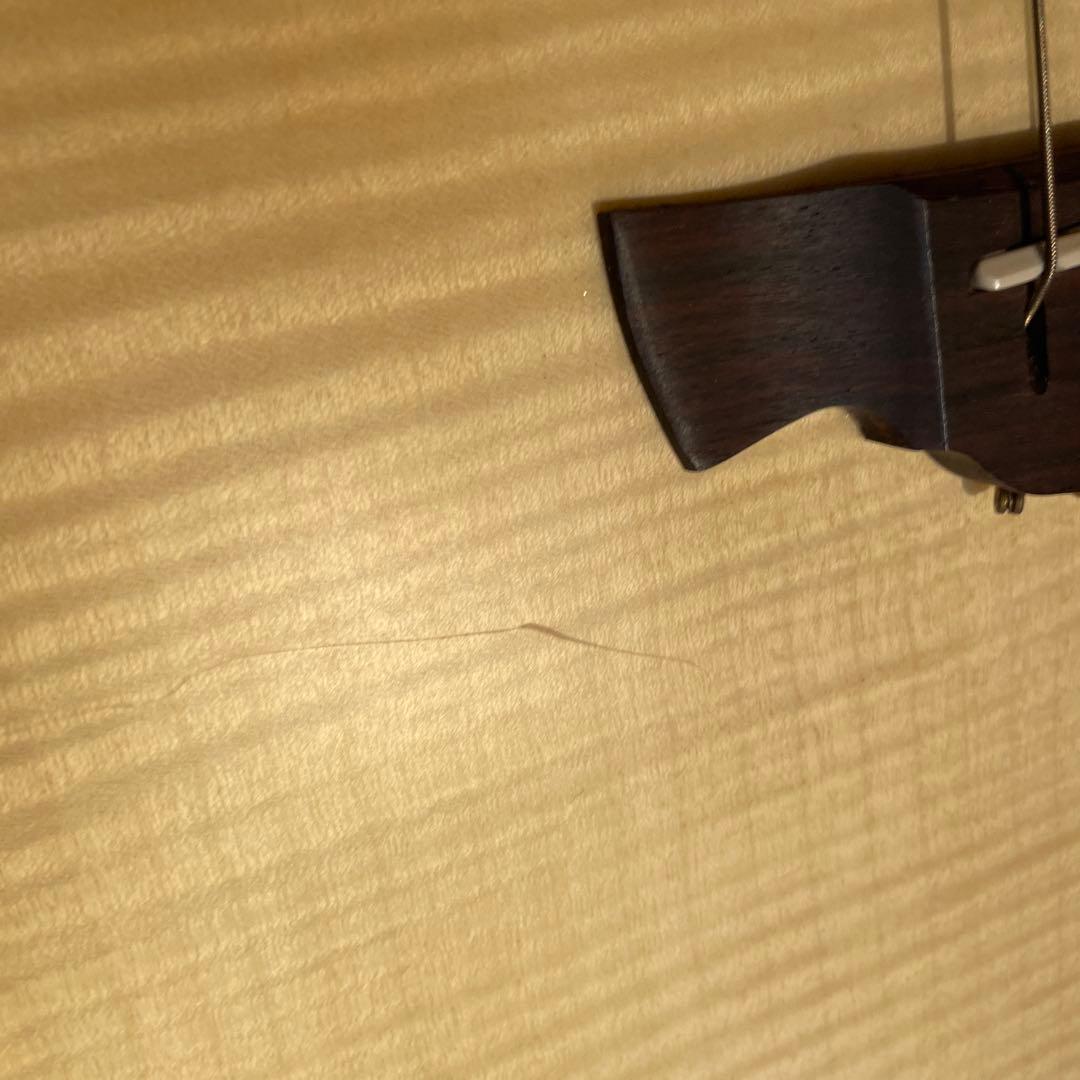 【うさぎ@ゆち】Crafter CT-120/N ギター クラフター