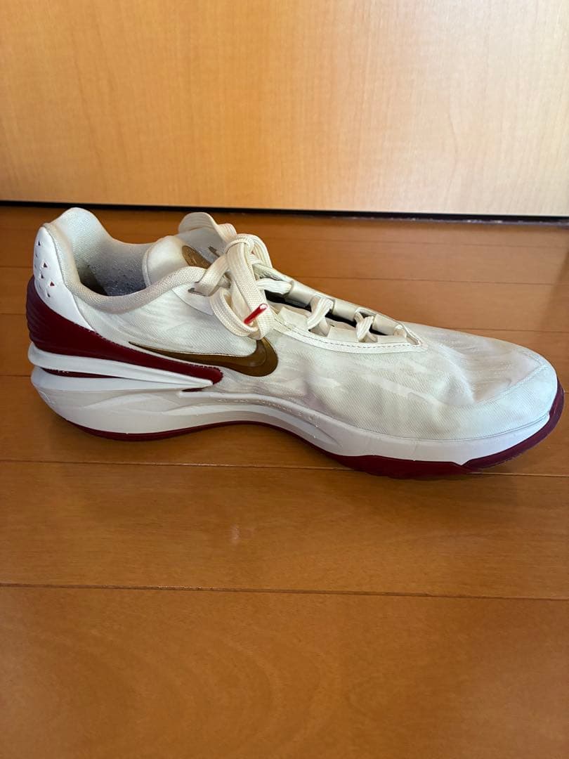 Nike g.t. cut 2 ナイキGTカット2