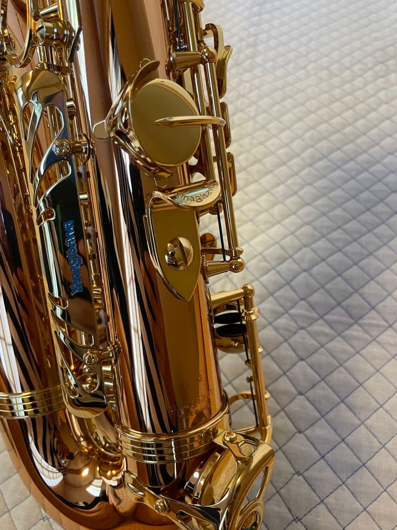 ヤナギサワ　アルトサックスA-WO2 2024年購入品