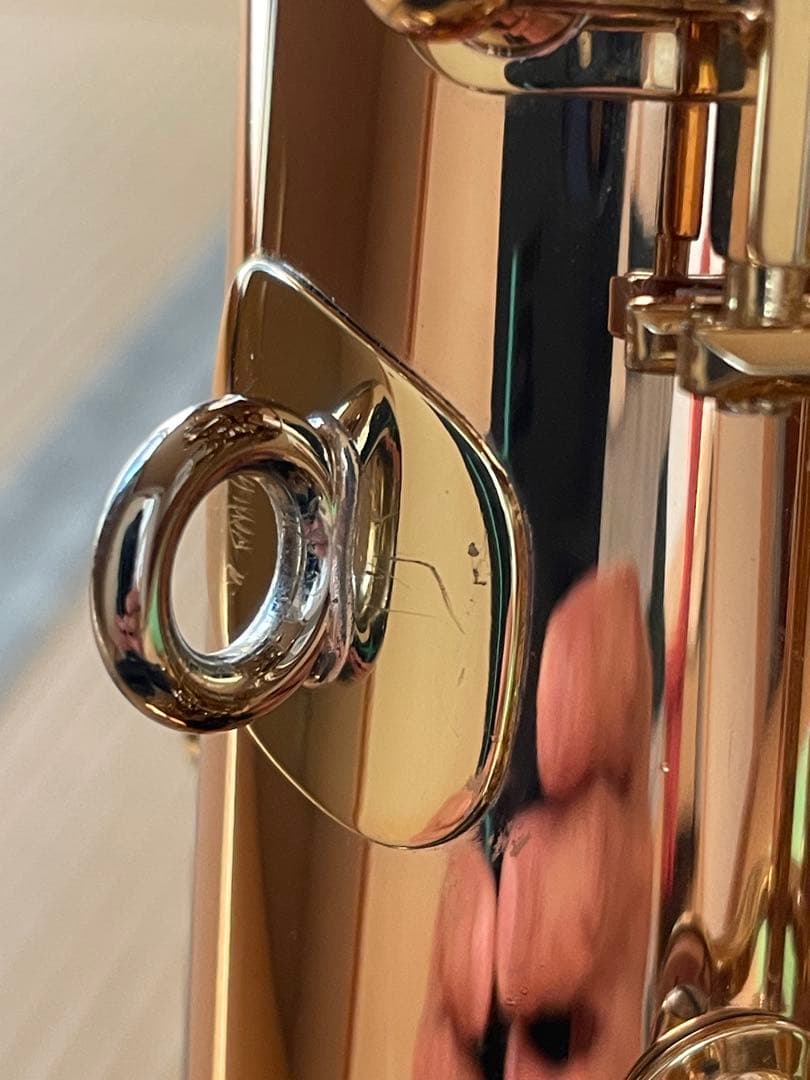 ヤナギサワ　アルトサックスA-WO2 2024年購入品