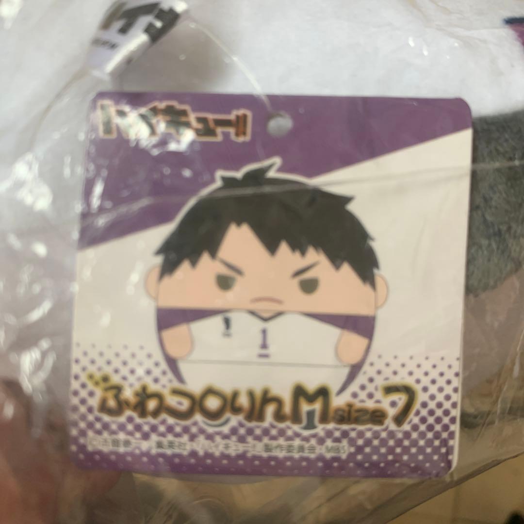 ハイキュー　牛島若利　ふわコロりん　M size