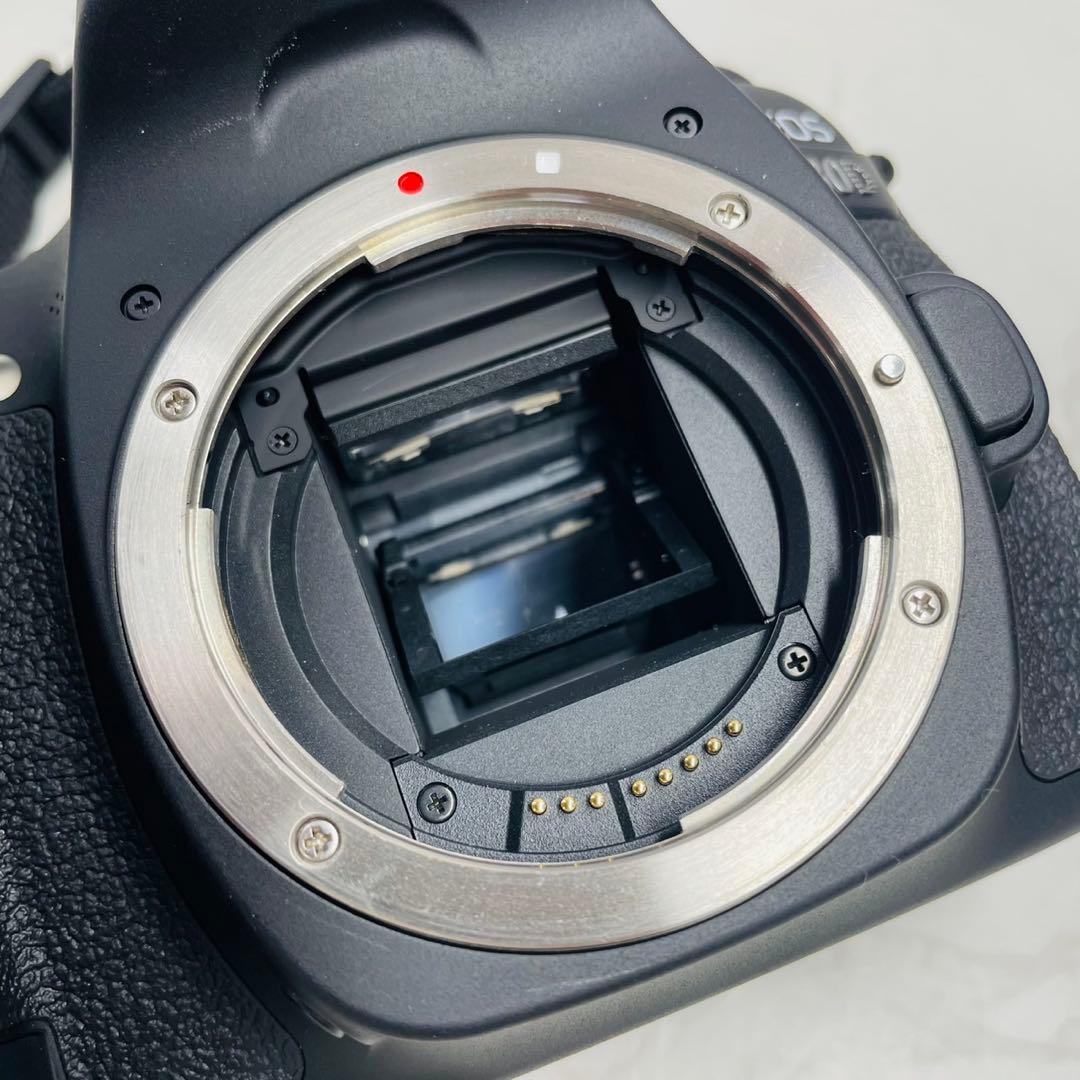 Canon EOS 80D ショット数126枚 デジタル一眼レフ WW8003