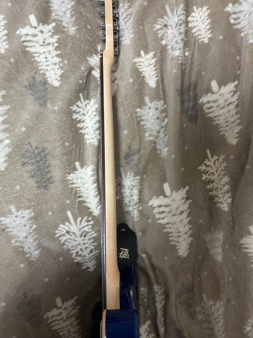 ESP Grassroots G-SNAPPER-CTM キルスイッチ改造済