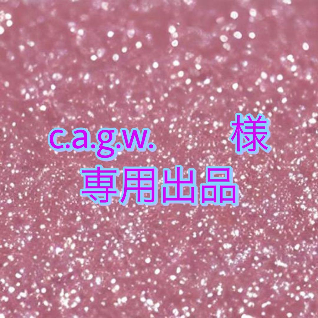 c.a.g.w.専用