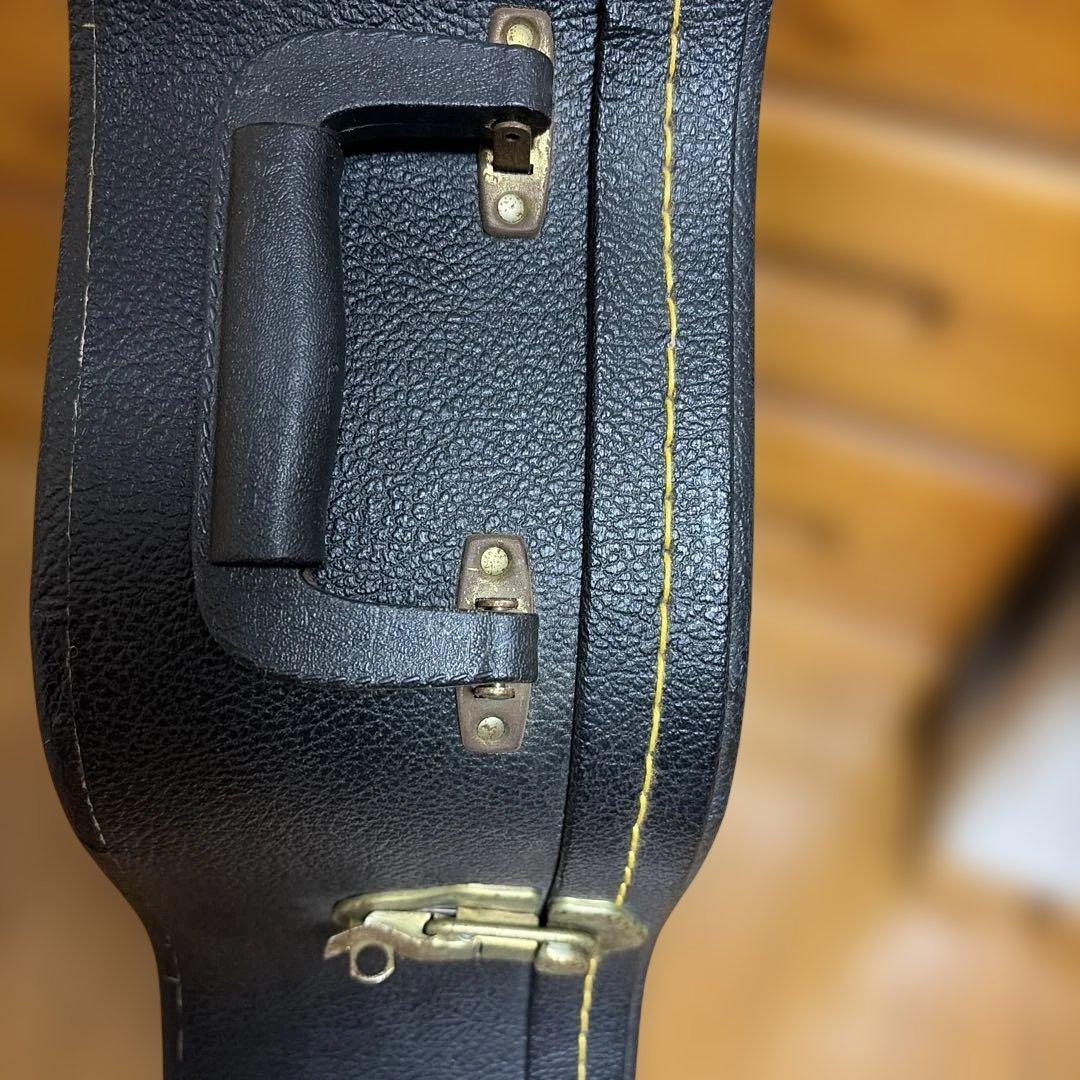 アコースティックギター ハードケース付き　シーガル　S6＋FOLK