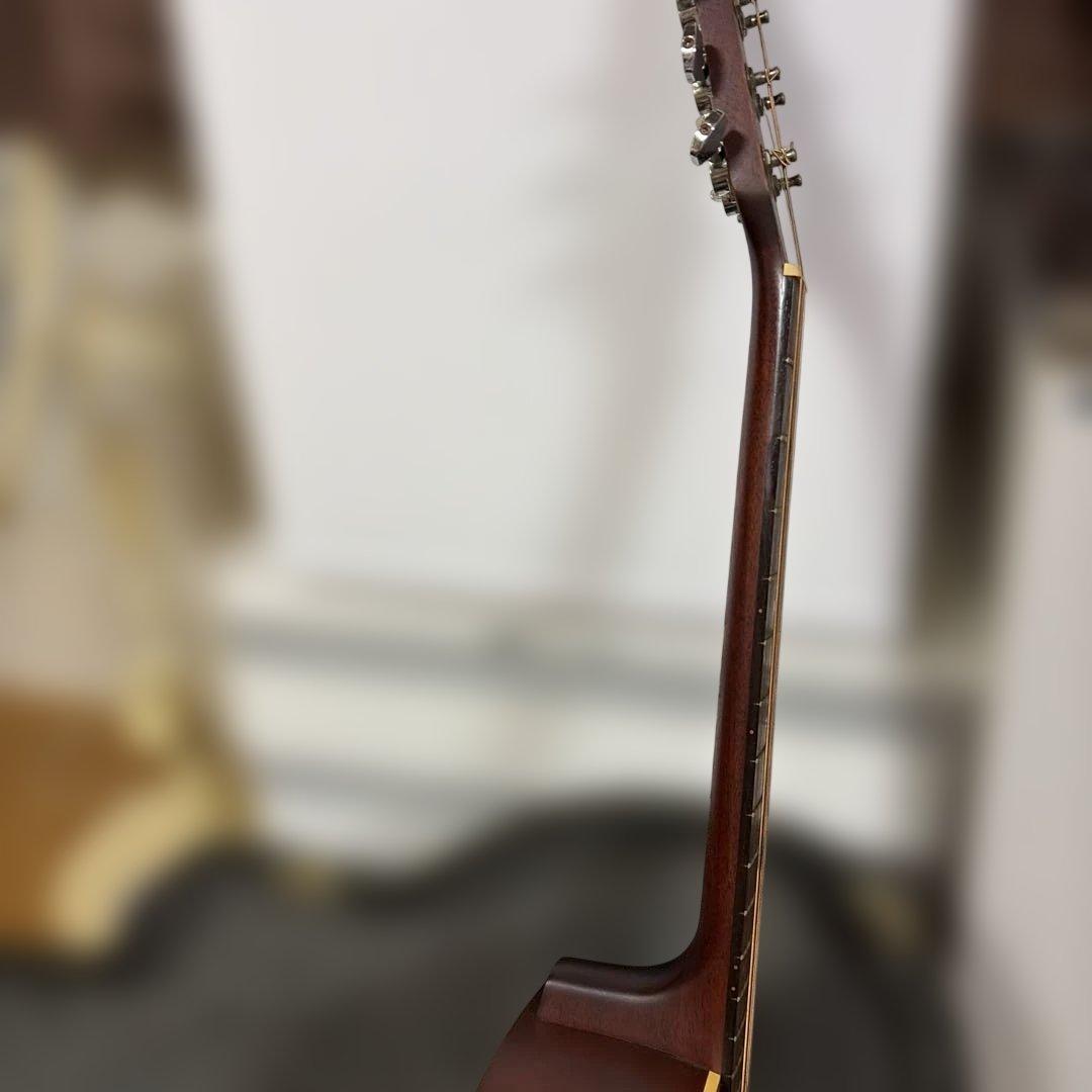 アコースティックギター ハードケース付き　シーガル　S6＋FOLK