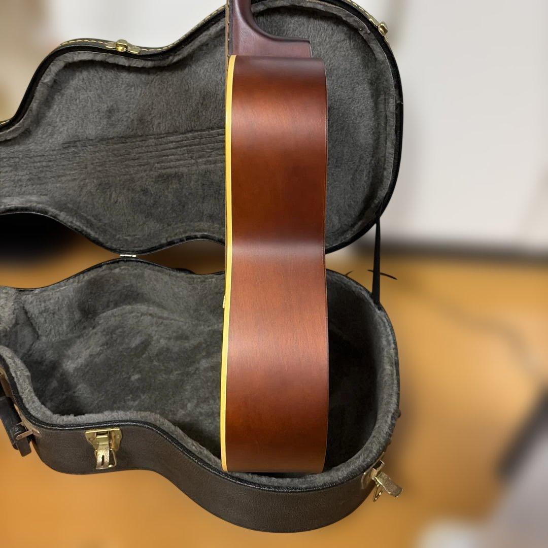 アコースティックギター ハードケース付き　シーガル　S6＋FOLK