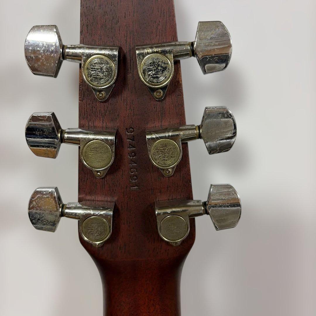 アコースティックギター ハードケース付き　シーガル　S6＋FOLK