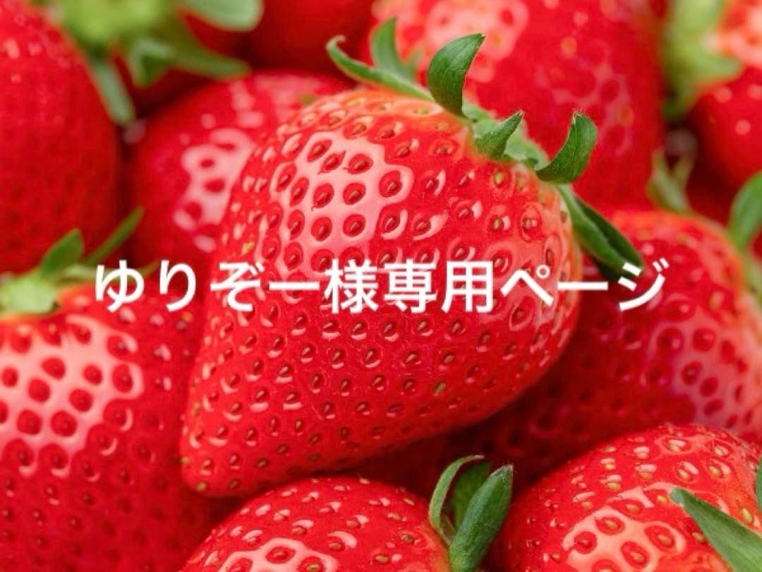 ゆりぞーページ