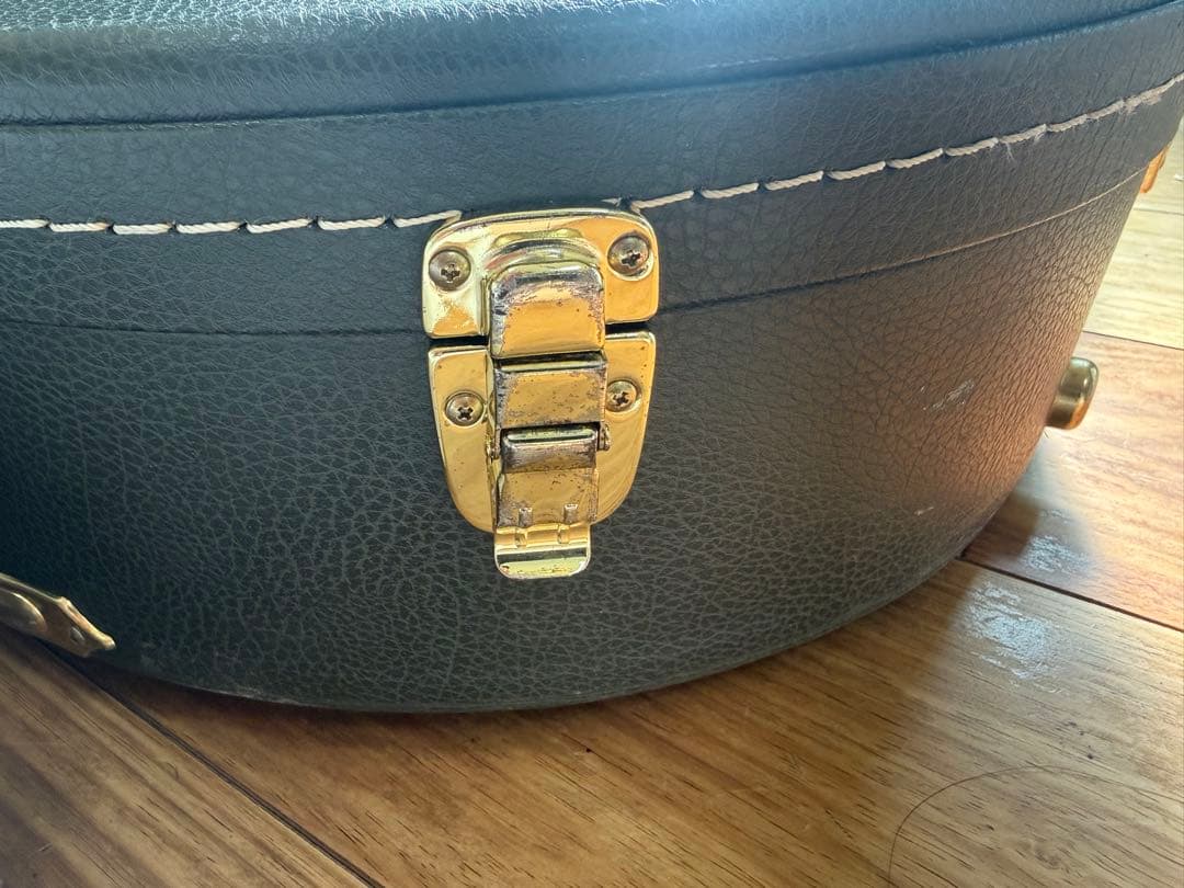 GRETSCH G6119-62HT 2010年製Tennessee Rose