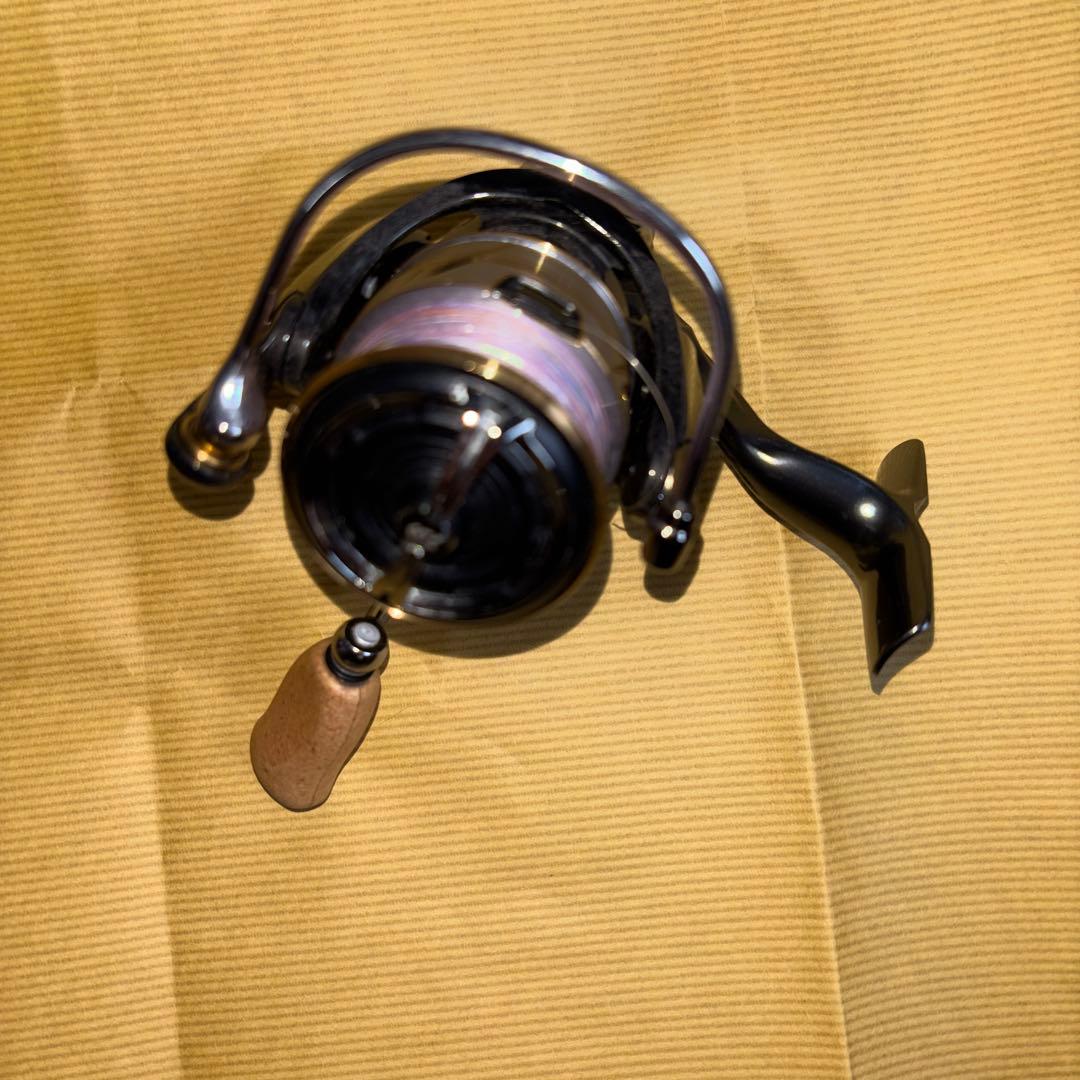 ダイワ ルビアス LT2500S(カスタム )