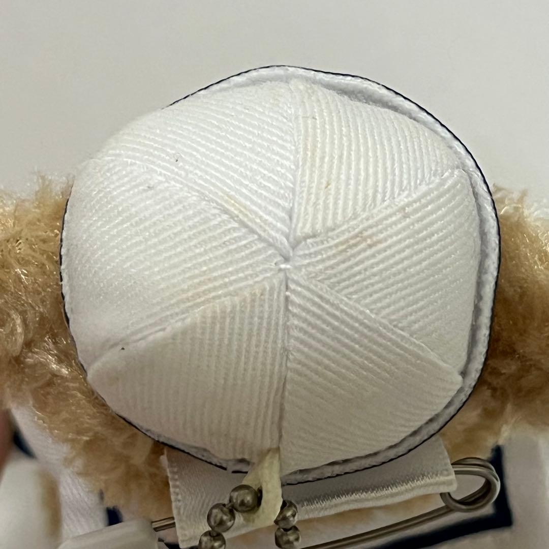 ディズニー　ダッフィー　シェリーメイ　ジェラトーニ　ぬいば