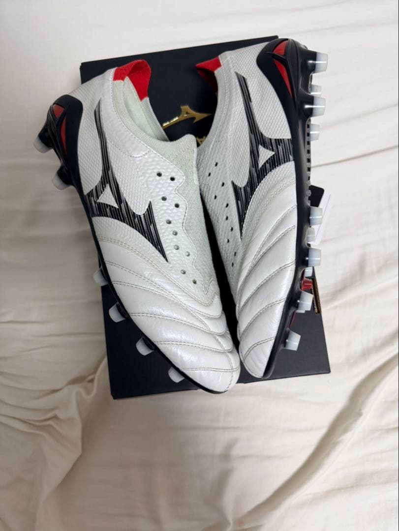 モレリアネオ4β