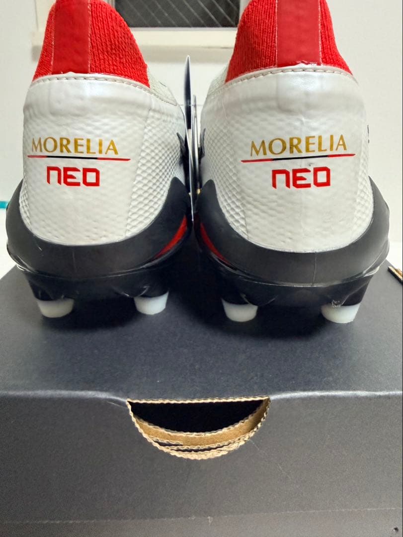 モレリアネオ4β