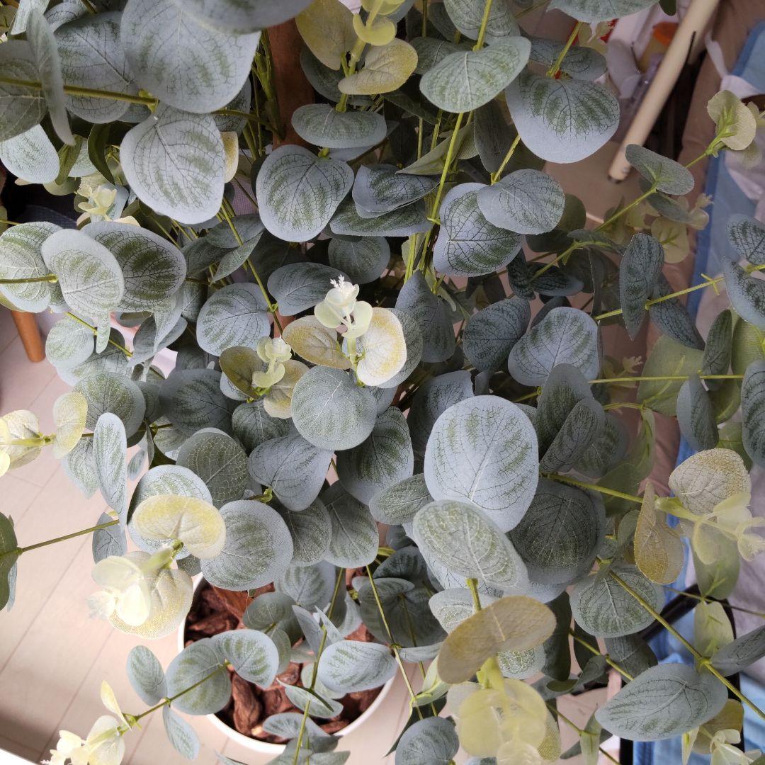 ユーカリの木130cm タイプ！銀丸葉 ！ 大型フェイクプランツ！ 未使用！