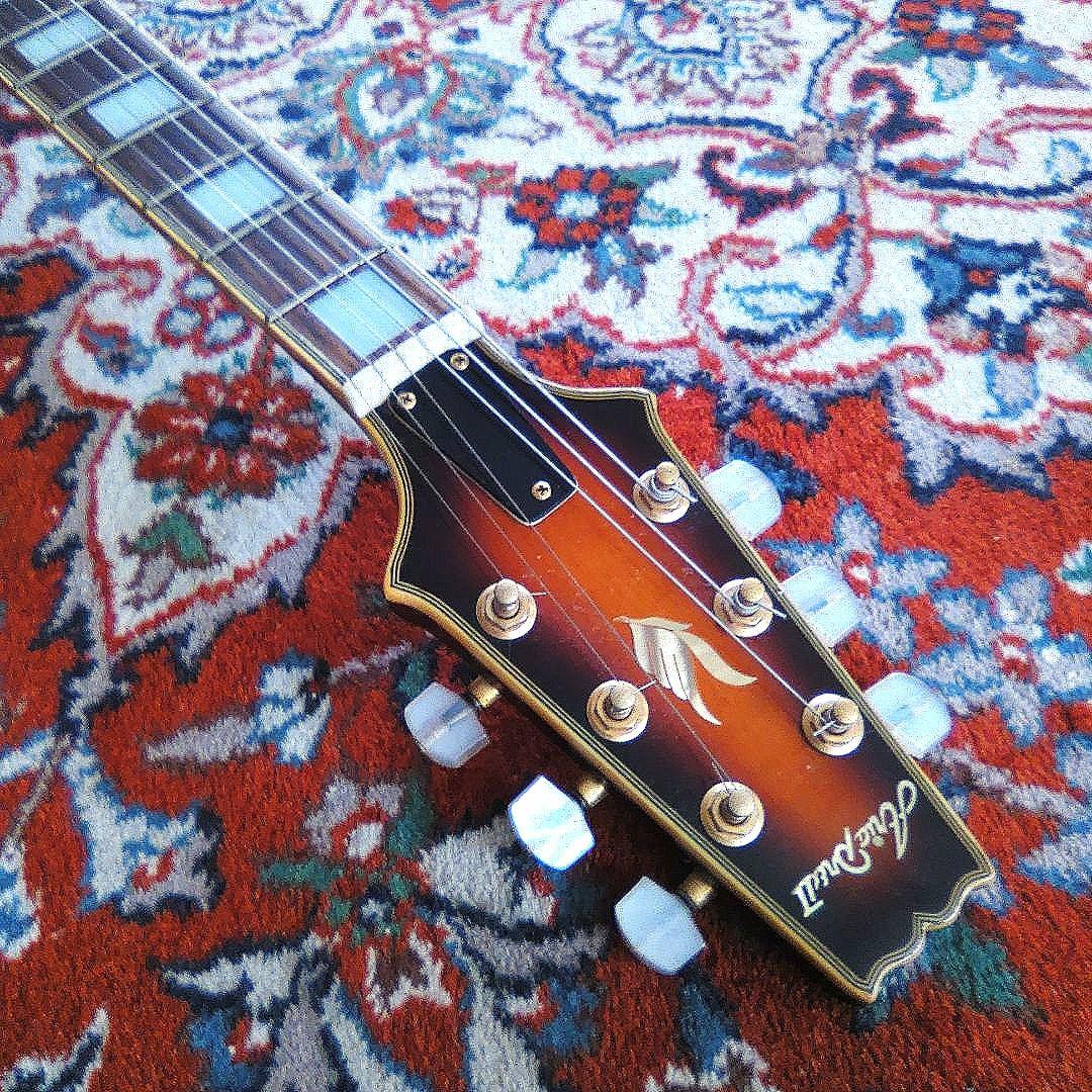 Aria Pro II PE-DLX セイモア ダンカン デザイン ピックアップ