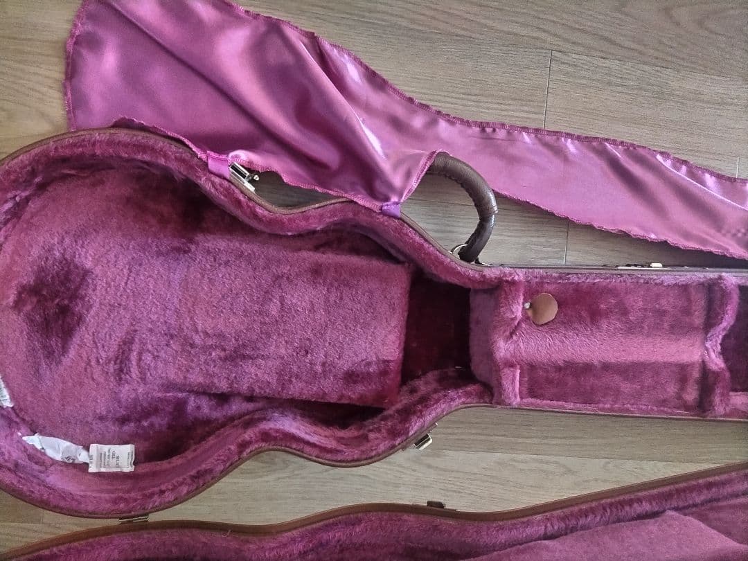 ギター Ornetts GM-5