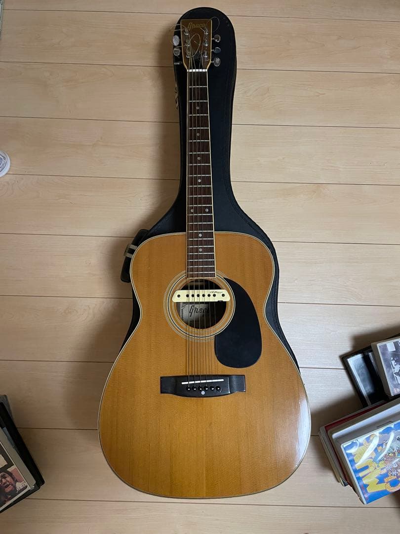 grecoグレコ F-180 / L.R.Baggs m1