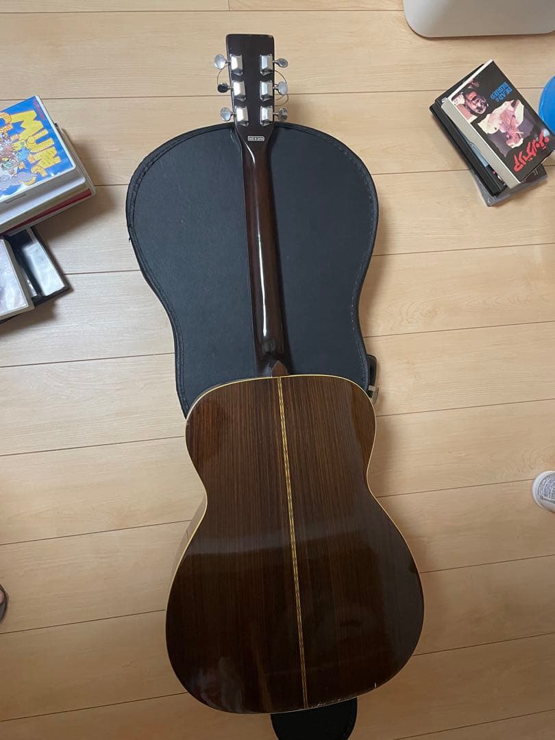 grecoグレコ F-180 / L.R.Baggs m1