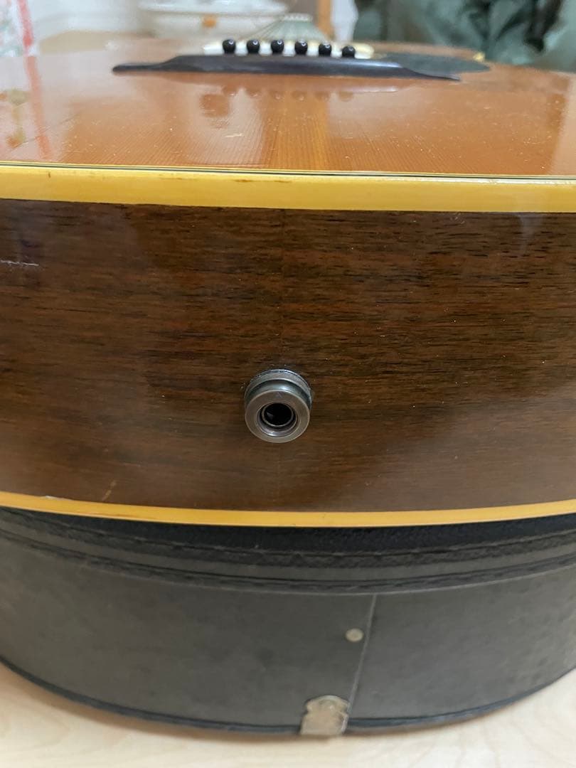 grecoグレコ F-180 / L.R.Baggs m1