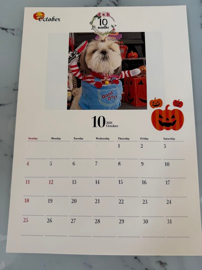 愛犬ちくわ壁掛けカレンダー【オリジナル】