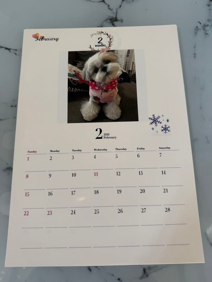 愛犬ちくわ壁掛けカレンダー【オリジナル】