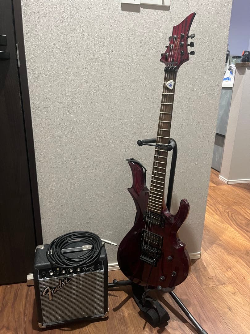 grass roots ナイトメア 柩 モデル エレキギター アンプセット！