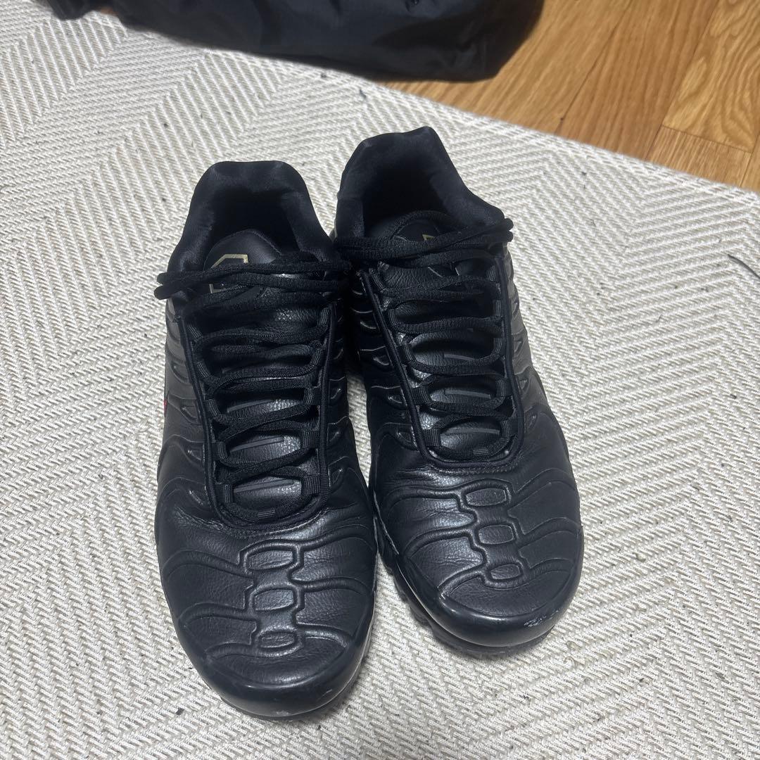 エアマックスプラス 28.0 AIRMAX 限定 ゴールデンサイズ