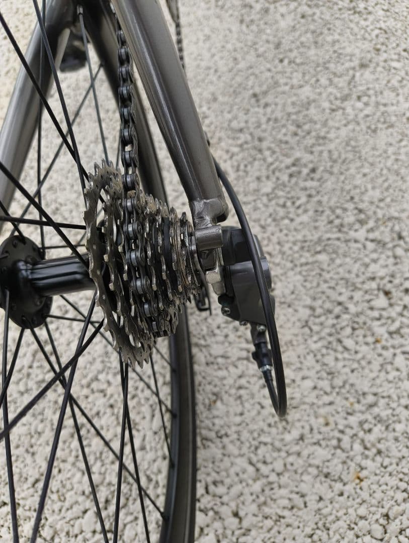 自転車本体 Tern Surge