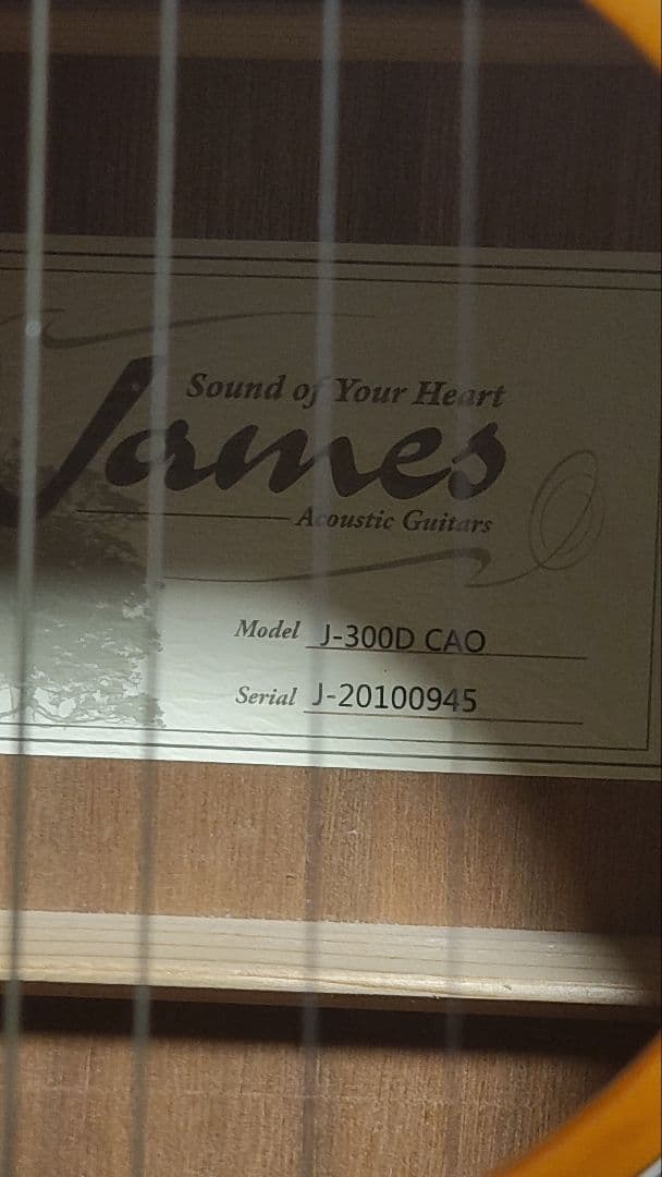 年末割引James アコースティックギター サンバースト