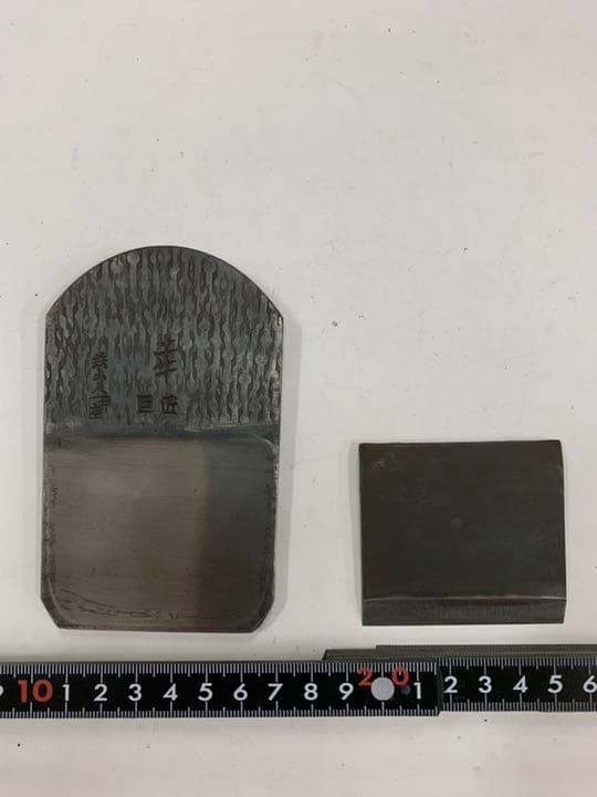 カンナ 土牛巨匠 白樫台