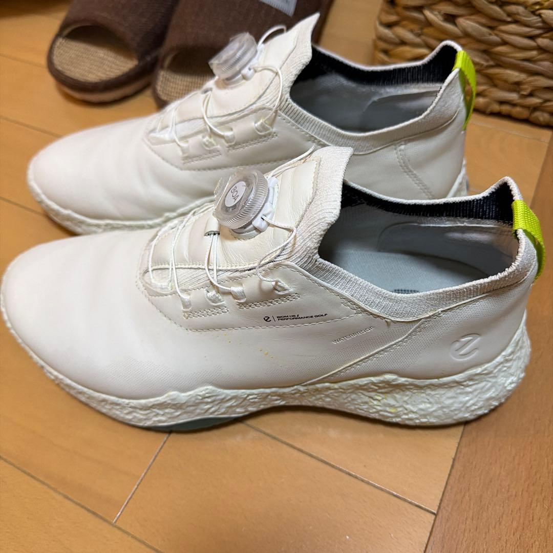 値引エコー最新ゴルフシューズ　ボアシステム