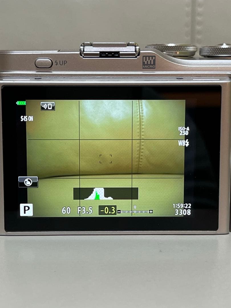 OLYMPUS PEN E-PL9 ダブルズームキット＋マクロレンズ＋本革アクセ