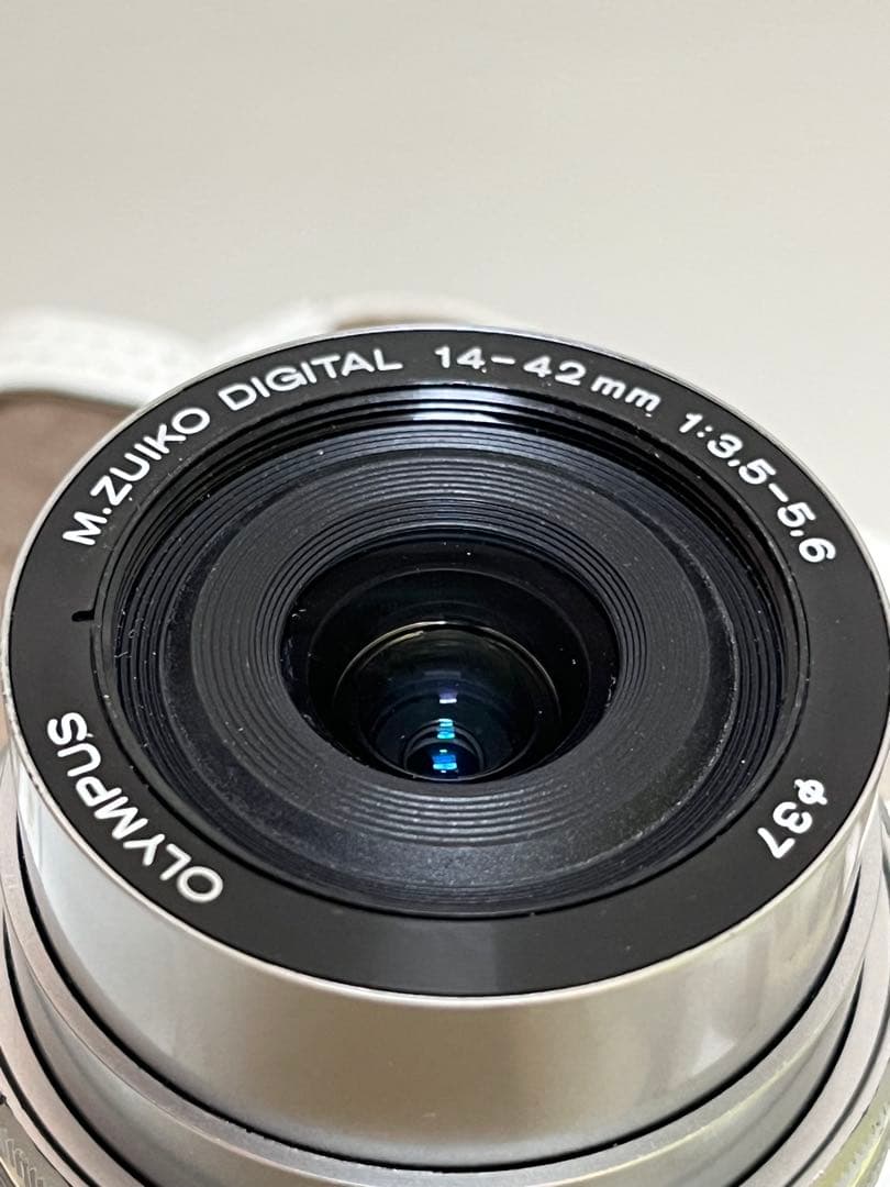 OLYMPUS PEN E-PL9 ダブルズームキット＋マクロレンズ＋本革アクセ