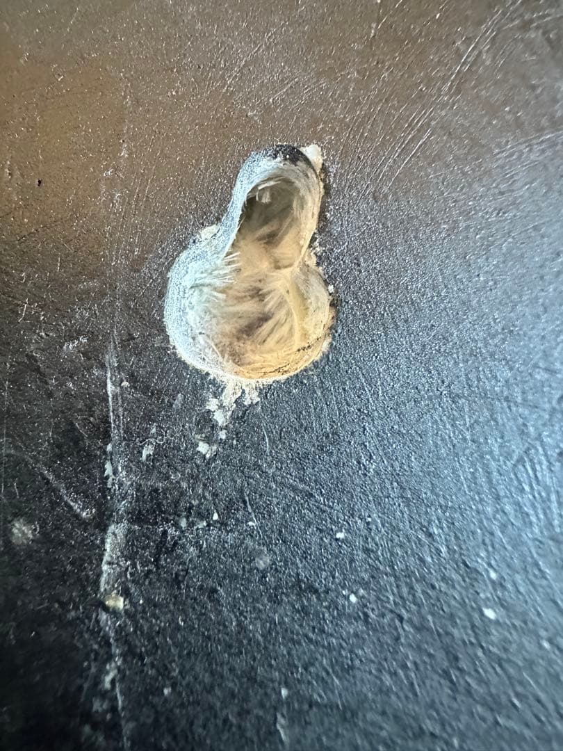 ハーレーダビッドソン‼️アンティーク‼️鷲の彫刻‼️66㎝‼️