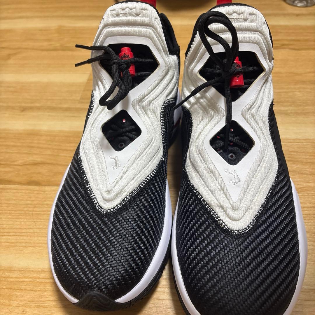 シューズ(男性用) Nike LeBron soldier 14