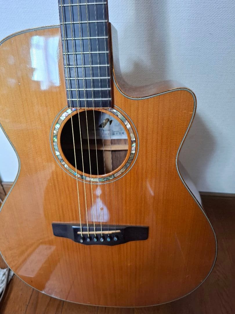 モーリスS101　エレアコ　ケース付き