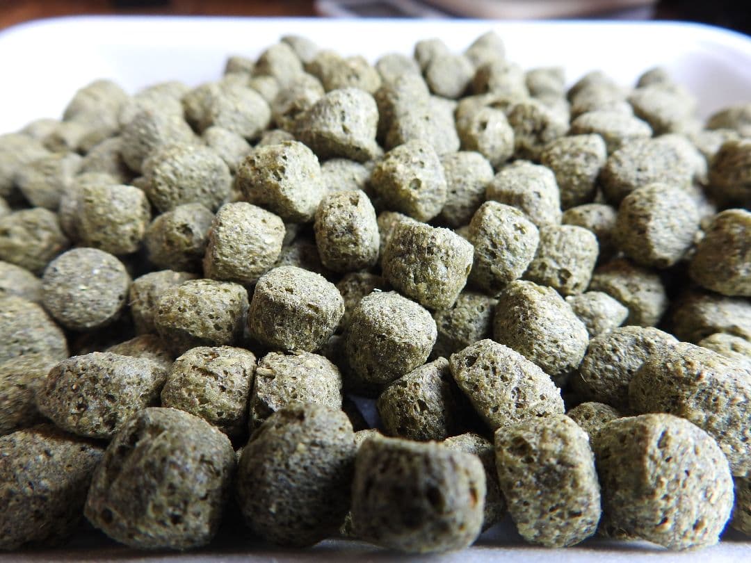 アヒル、コールダック用飼料　10kg オリエンタル酵母工業ms