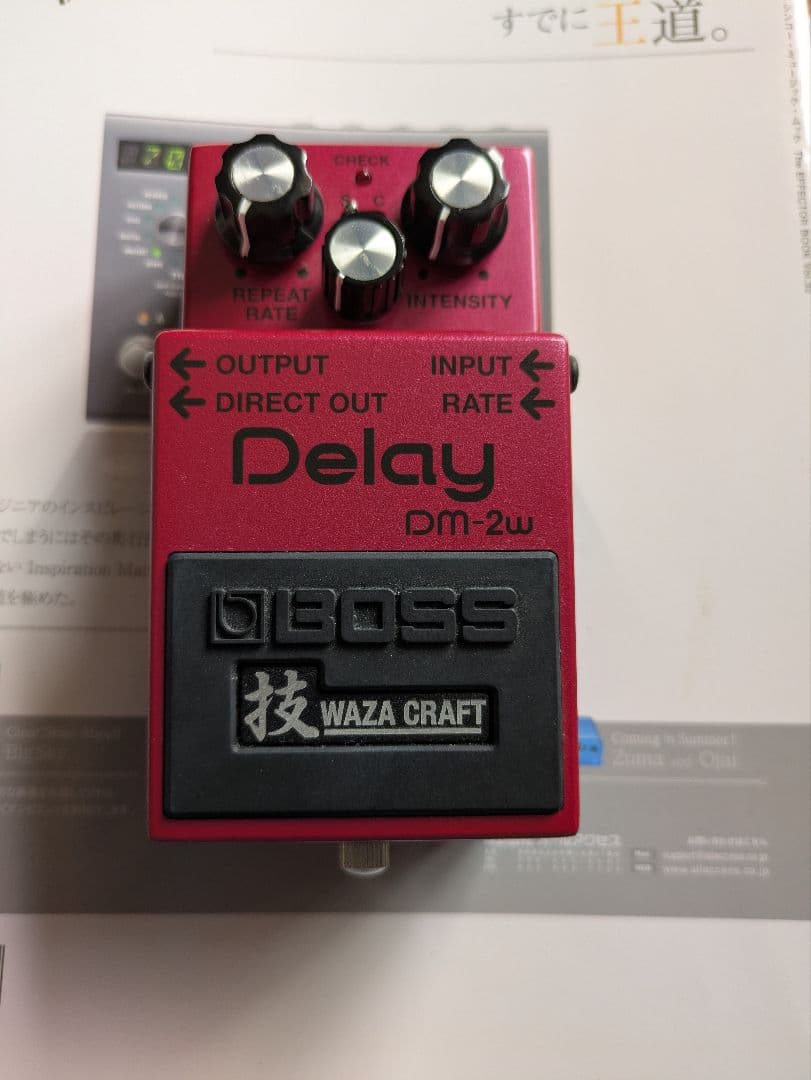 ギター BOSS DM-2W