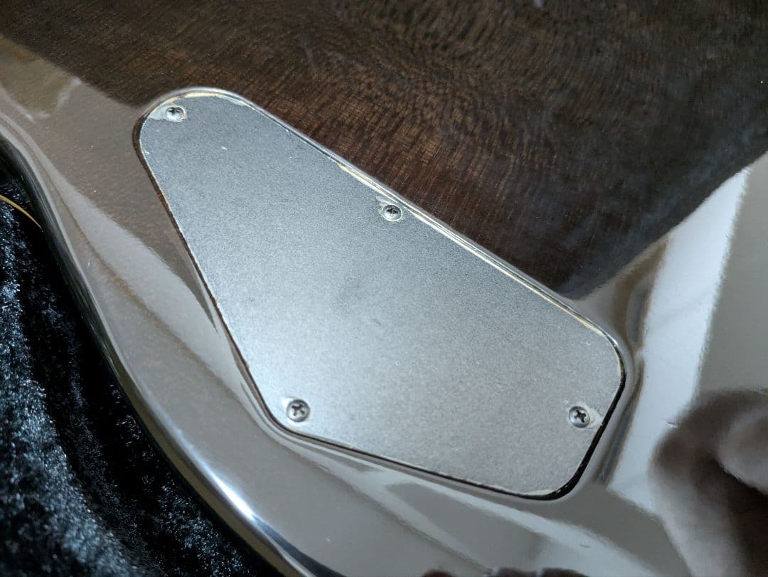 FERNANDES APG 100 24F仕様