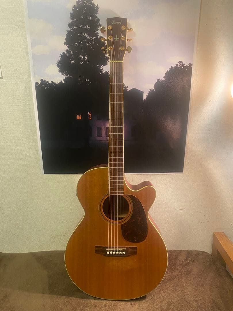 Cort SF-5X エレアコ トップ単板