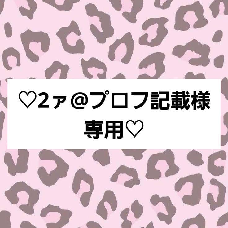 2ァ@プロフ記載ページ