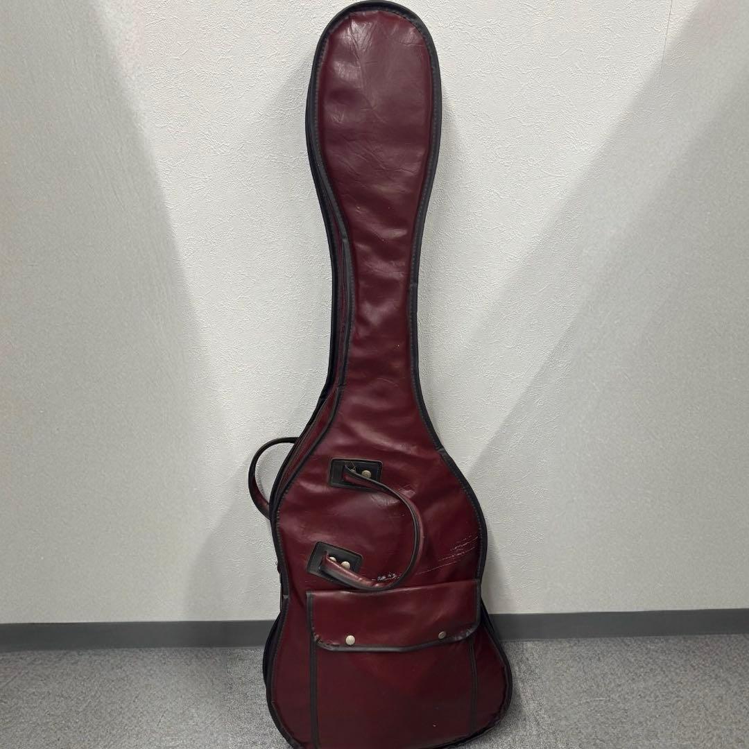 Aria Pro II RS Wildcat エレキギター